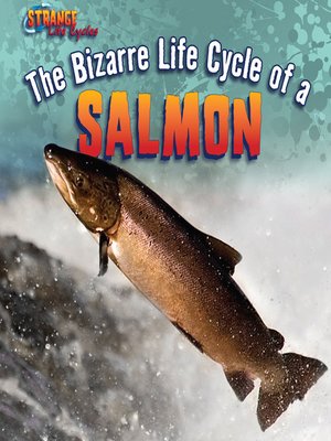 cover image of The Bizarre Life Cycle of a Salmon